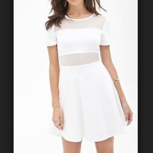 NEW | Meshed-Paneled Skater Dress